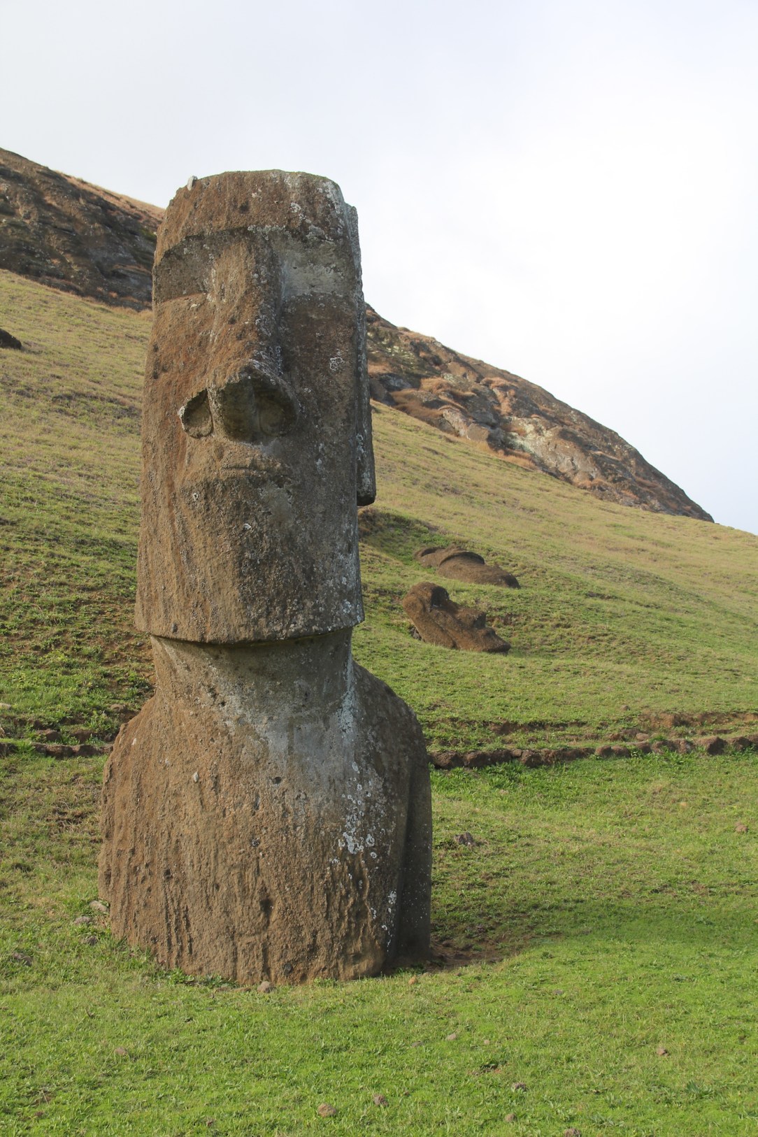 easter_island_heads_4