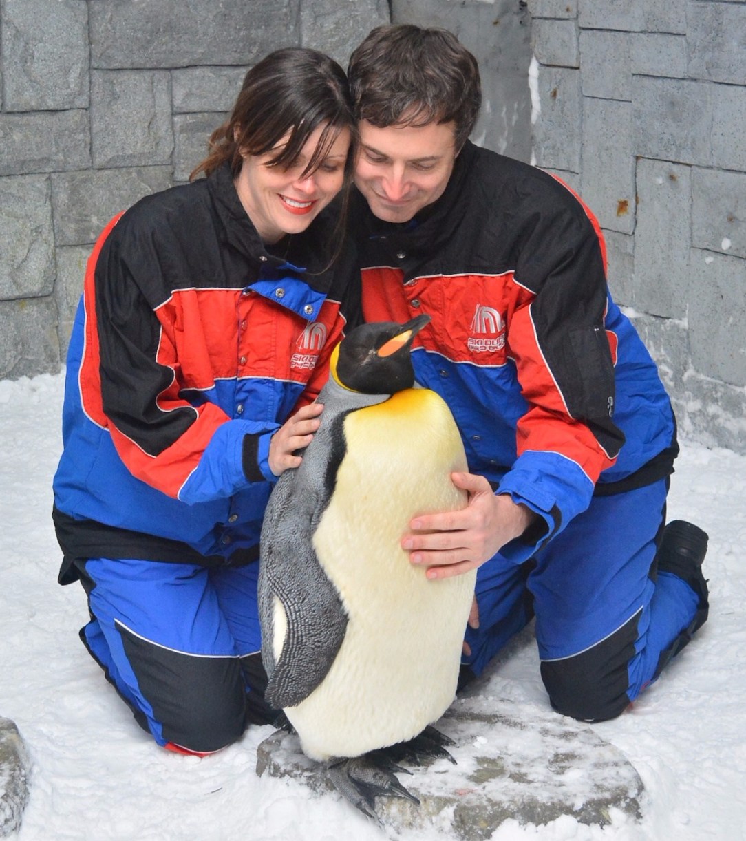 dubai_penguin_hug_2