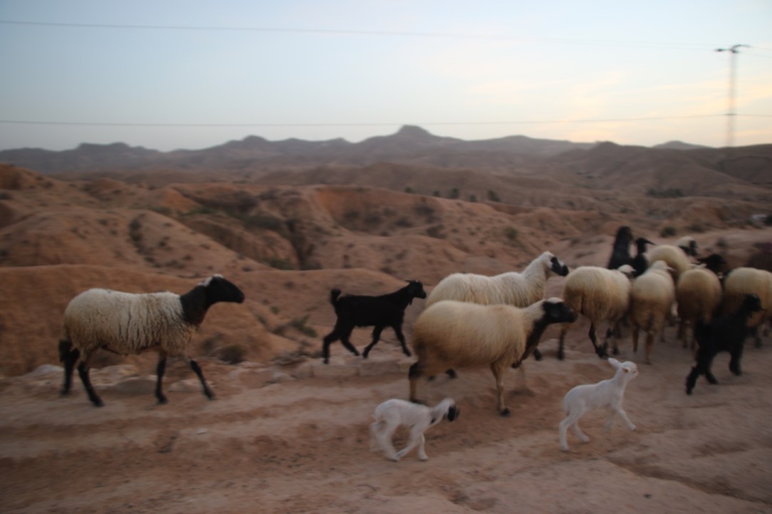 life_of_brian_crucifixion_location_21