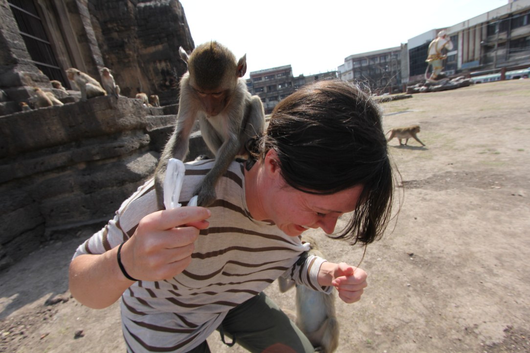Lopburi Monkeys