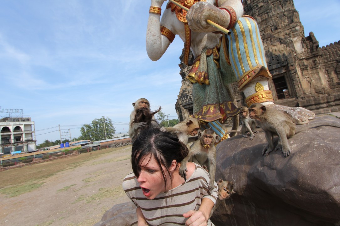 Lopburi Monkeys