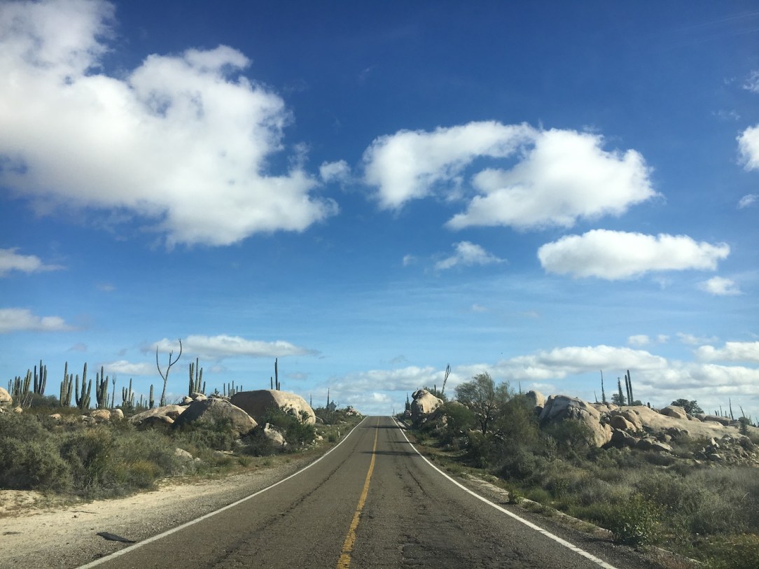 Gray_Whales_Mexico_33