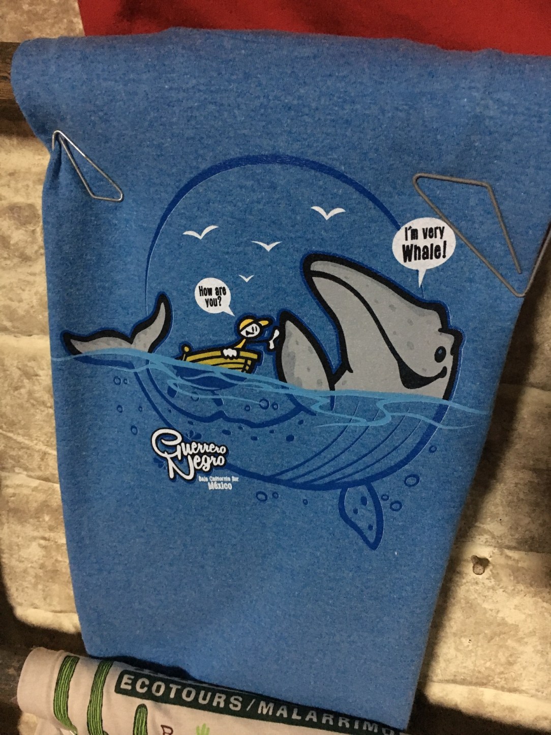 Gray_Whales_Mexico_52