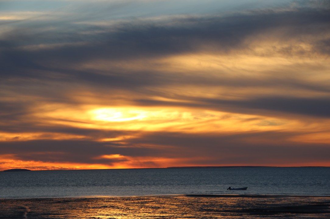 Gray_Whales_Mexico_64