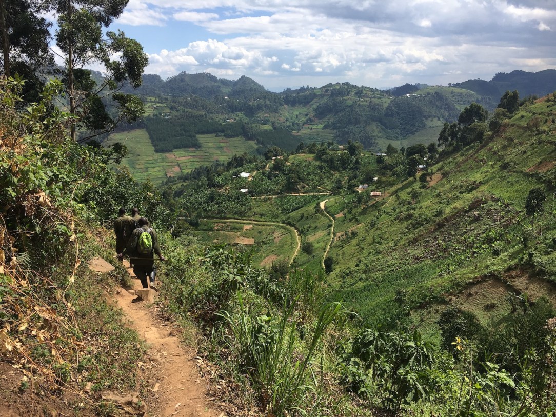 Gorilla Habituation Experience Uganda